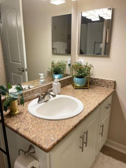 Beautiful/Spacious 2 Bedroom Houston Near Galleria Esterno foto